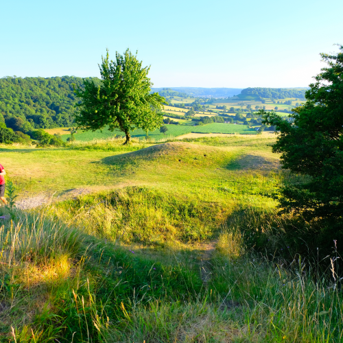 North Downs 50   Landscape