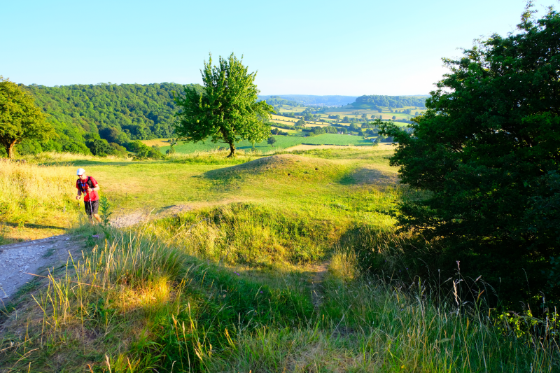 North Downs 50   Landscape