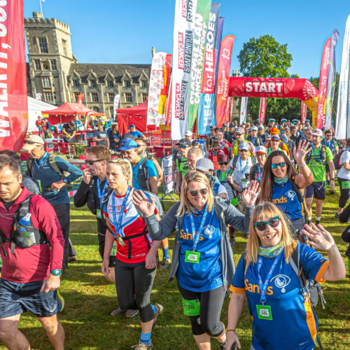 Screenshot 2024 11 12 151530